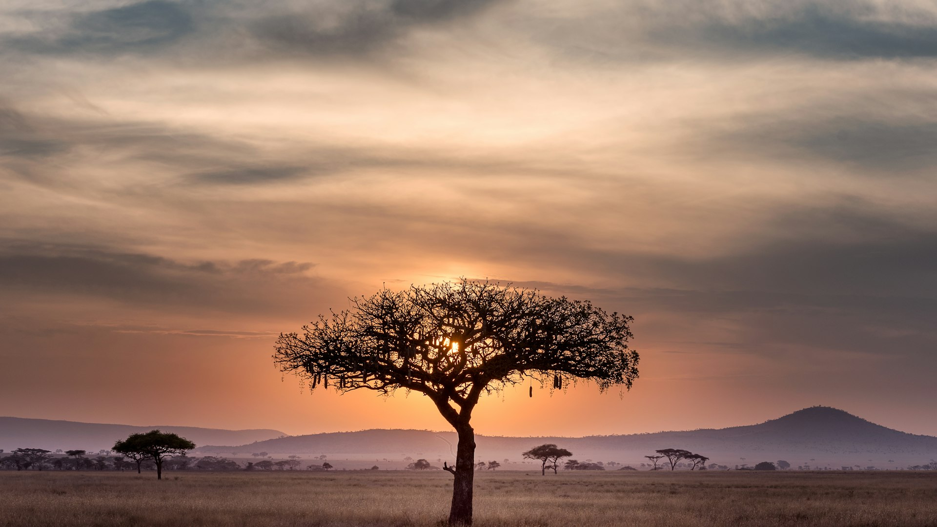 African landscape at sunset